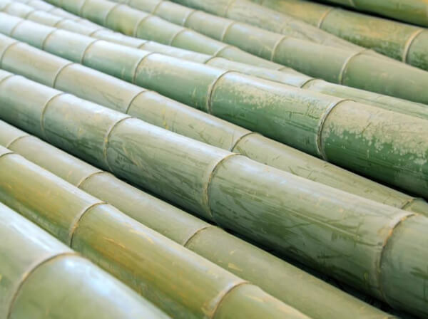 竹子粉碎机多少钱一台